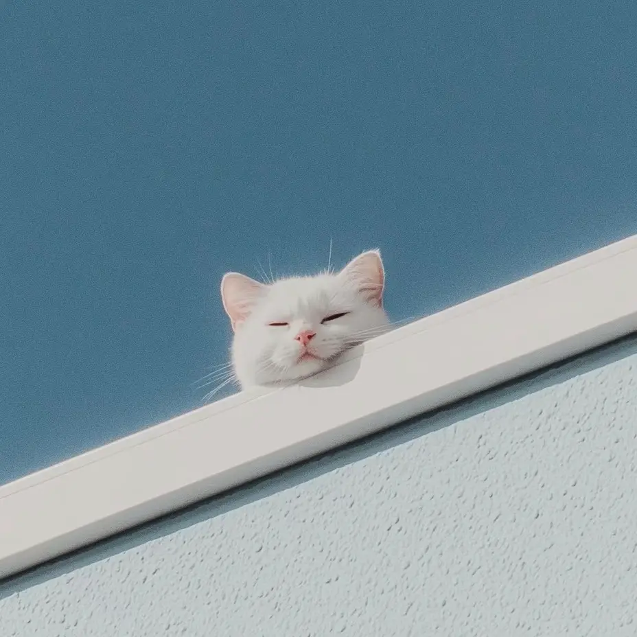 Azure's Blog